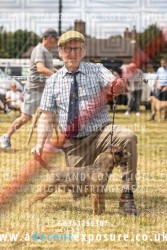 A&WHSC Albrighton Dog Show 5th July 2026